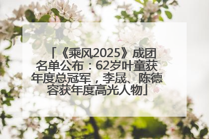 《乘风2025》成团名单公布：62岁叶童获年度总冠军，李晟、陈德容获年度高光人物