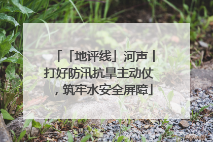 「地评线」河声丨打好防汛抗旱主动仗，筑牢水安全屏障