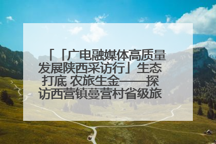 「广电融媒体高质量发展陕西采访行」生态打底 农旅生金——探访西营镇蔓营村省级旅游示范村的振兴密码