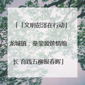 「文明彭泽在行动」龙城镇：桑果盈筐情绵长 育践五柳报春晖