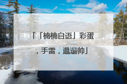 「楠楠自语」彩蛋，手雷，邋遢帅