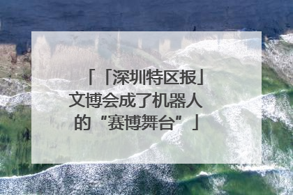 「深圳特区报」文博会成了机器人的“赛博舞台”