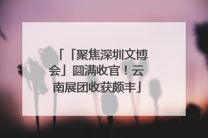 「聚焦深圳文博会」圆满收官！云南展团收获颇丰