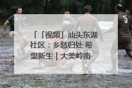 「视频」汕头东湖社区：乡愁归处 希望新生｜大美岭南·百村焕新记