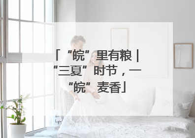 “皖”里有粮｜“三夏”时节，一“皖”麦香