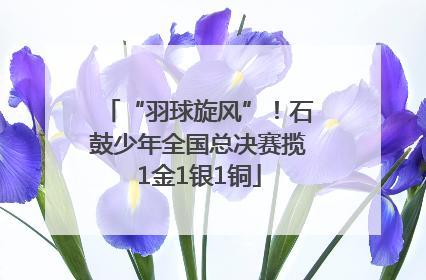 “羽球旋风”！石鼓少年全国总决赛揽1金1银1铜
