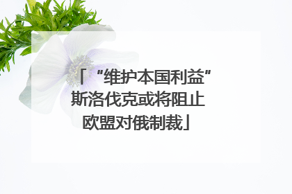 “维护本国利益” 斯洛伐克或将阻止欧盟对俄制裁