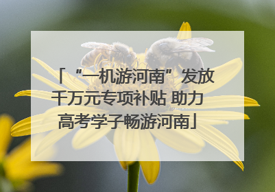 “一机游河南”发放千万元专项补贴 助力高考学子畅游河南