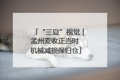 “三夏”视觉｜孟州麦收正当时 机械减损保归仓