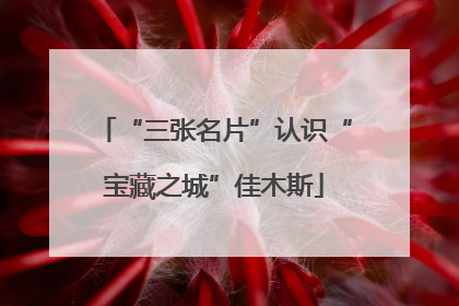 “三张名片”认识“宝藏之城”佳木斯