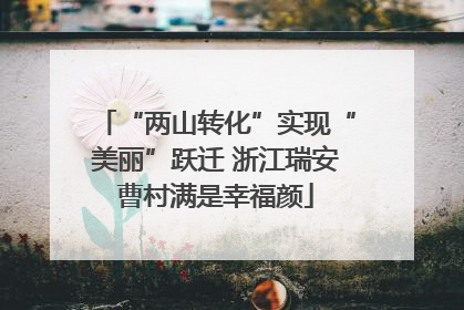 “两山转化”实现“美丽”跃迁 浙江瑞安曹村满是幸福颜