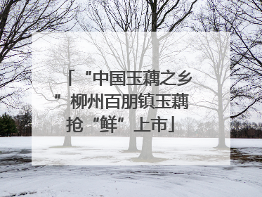 “中国玉藕之乡”柳州百朋镇玉藕抢“鲜”上市