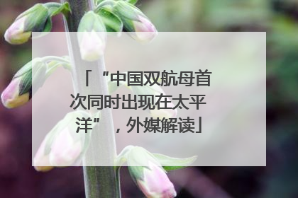 “中国双航母首次同时出现在太平洋”，外媒解读