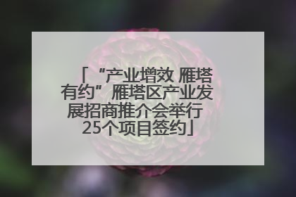 “产业增效 雁塔有约”雁塔区产业发展招商推介会举行 25个项目签约