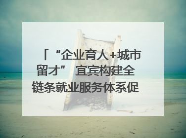“企业育人+城市留才” 宜宾构建全链条就业服务体系促高校毕业生就业｜您牵挂的四川