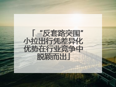 “反套路突围”小拉出行凭差异化优势在行业竞争中脱颖而出