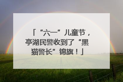 “六一”儿童节，亭湖民警收到了“黑猫警长”锦旗！