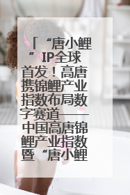 “唐小鲤”IP全球首发！高唐携锦鲤产业指数布局数字赛道——中国高唐锦鲤产业指数暨“唐小鲤”IP全球首发仪式在杭州举行