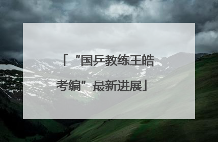 “国乒教练王皓考编”最新进展