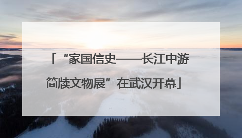 “家国信史——长江中游简牍文物展”在武汉开幕