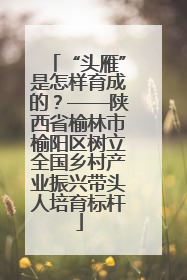 “头雁”是怎样育成的？——陕西省榆林市榆阳区树立全国乡村产业振兴带头人培育标杆