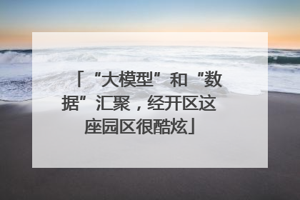 “大模型”和“数据”汇聚，经开区这座园区很酷炫