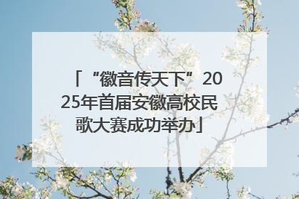 “徽音传天下”2025年首届安徽高校民歌大赛成功举办