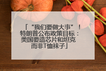 “我们要做大事”！特朗普公布政策目标：美国要造芯片和坦克 而非T恤袜子