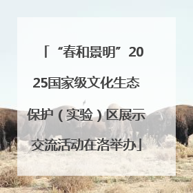 “春和景明”2025国家级文化生态保护（实验）区展示交流活动在洛举办