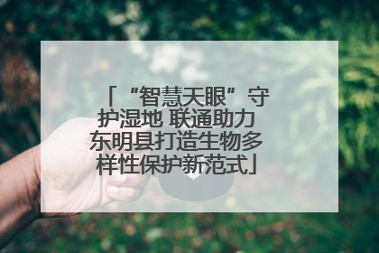 “智慧天眼”守护湿地 联通助力东明县打造生物多样性保护新范式
