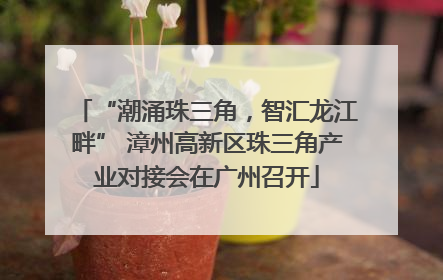 “潮涌珠三角，智汇龙江畔” 漳州高新区珠三角产业对接会在广州召开