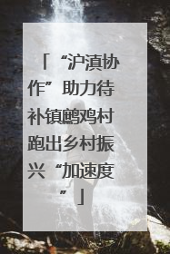 “沪滇协作”助力待补镇鹧鸡村跑出乡村振兴“加速度”