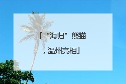 “海归”熊猫，温州亮相