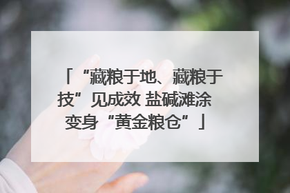 “藏粮于地、藏粮于技”见成效 盐碱滩涂变身“黄金粮仓”