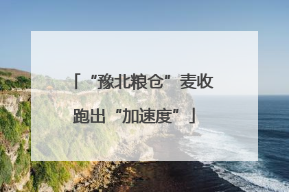 “豫北粮仓”麦收跑出“加速度”
