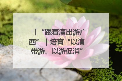 “跟着演出游广西”｜培育“以演带游、以游促消”文旅消费新生态