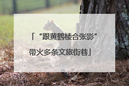 “跟黄鹤楼合张影”带火多条文旅街巷
