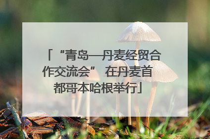 “青岛—丹麦经贸合作交流会” 在丹麦首都哥本哈根举行