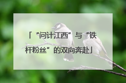 “问计江西”与“铁杆粉丝”的双向奔赴