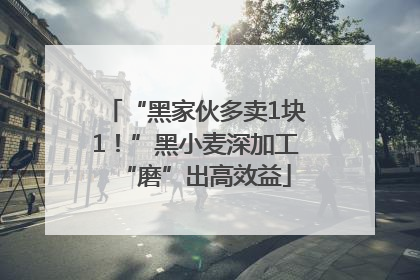 “黑家伙多卖1块1！”黑小麦深加工“磨”出高效益