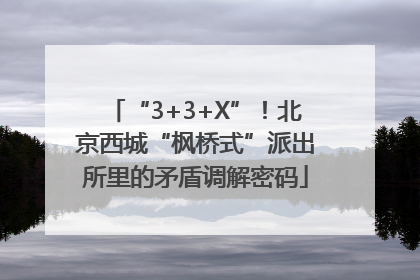 “3+3+X”！北京西城“枫桥式”派出所里的矛盾调解密码