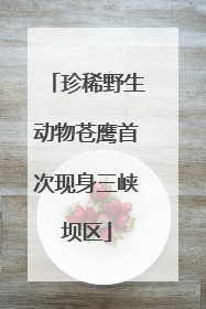 珍稀野生动物苍鹰首次现身三峡坝区