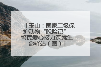 玉山：国家二级保护动物“脱险记” 警民爱心接力筑就生命驿站（图）