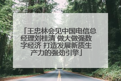 王忠林会见中国电信总经理刘桂清 做大做强数字经济 打造发展新质生产力的强劲引擎