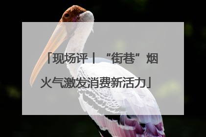 现场评丨“街巷”烟火气激发消费新活力