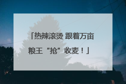 热辣滚烫 跟着万亩粮王“抢”收麦!