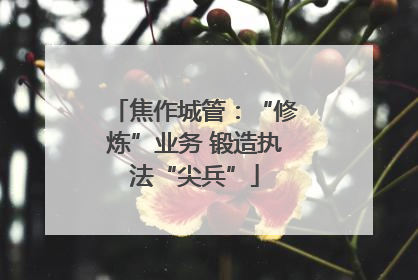焦作城管：“修炼”业务 锻造执法“尖兵”