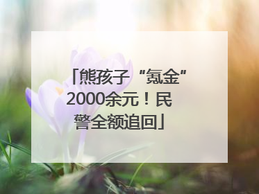 熊孩子“氪金”2000余元！民警全额追回