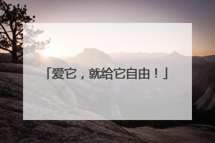 爱它，就给它自由！