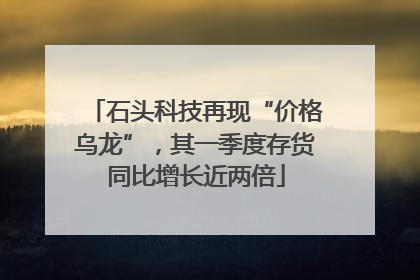 石头科技再现“价格乌龙”，其一季度存货同比增长近两倍